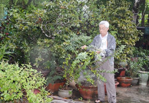 Niềm say mê với cây thuốc Nam