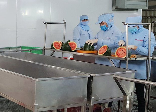 Dịch Covid-19: Sau bánh mỳ thanh long xuất hiện bún dưa hấu siêu lạ xuất khẩu sang Hàn Quốc