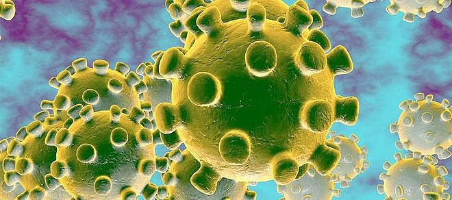 H&igrave;nh Virus corona g&acirc;y ra dịch bệnh vi&ecirc;m phổi cấp- c&ograve;n được gọi l&agrave; Covid -19