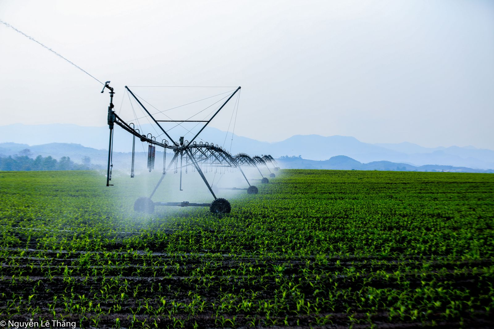 C&aacute;c dự &aacute;n đầu tư trong lĩnh vực n&ocirc;ng nghiệp do b&agrave; tư vấn đều sử dụng chiếc ch&igrave;a kh&oacute;a v&agrave;ng l&agrave; c&ocirc;ng nghệ cao, l&agrave;m n&ecirc;n c&aacute;c sản phẩm ho&agrave;n to&agrave;n từ thi&ecirc;n nhi&ecirc;n c&oacute; chất lượng quốc tế