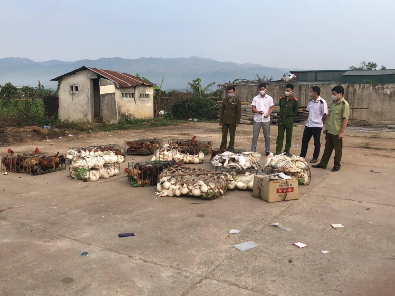 Cơ quan chức năng bắt giữ v&agrave; xử l&yacute; số gia cầm kh&ocirc;ng c&oacute; giấy chứng nhận kiểm dịch động vật, sản phẩm động vật.