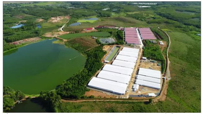 Quang cảnh c&ocirc;ng ty TNHH Lợn giống Dabaco Ph&uacute; Thọ tại khu 1, x&atilde; Tề Lễ, huyện Tam N&ocirc;ng, tỉnh Ph&uacute; Thọ (ảnh Dabaco).
