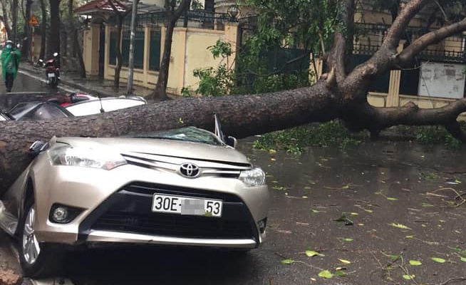 Chiếc Toyota Vios bị