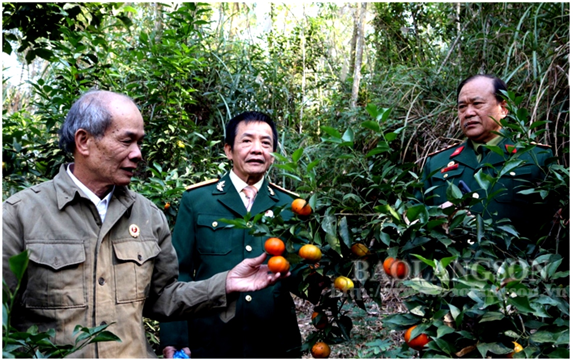 M&ocirc; h&igrave;nh l&agrave;m kinh tế giỏi của NCT TP Lạng Sơn. Ảnh IT