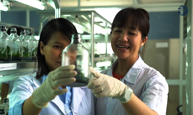 Chị B&iacute;ch Hậu (phải) tại Trung t&acirc;m C&ocirc;ng nghệ sinh học, Sở Khoa học v&agrave; C&ocirc;ng nghệ th&agrave;nh phố Đ&agrave; Nẵng