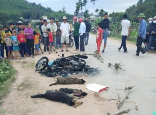 Nghệ An: Khởi tố vụ án hai thanh niên nghi trộm chó bị đánh thương vong