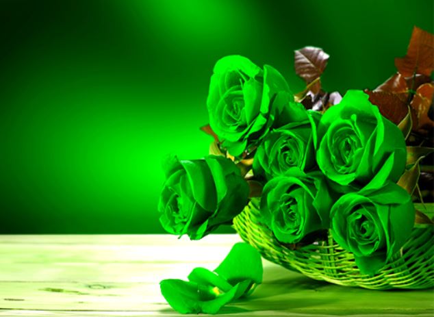 Tử vi thứ Sáu 13/3: Bảo Bình bội thu thành tích, Sư Tử tình yêu thăng hoa