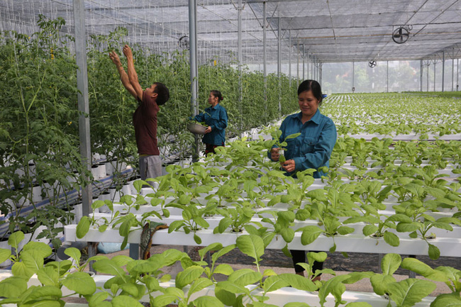 Nông dân thời công nghệ 4.0
