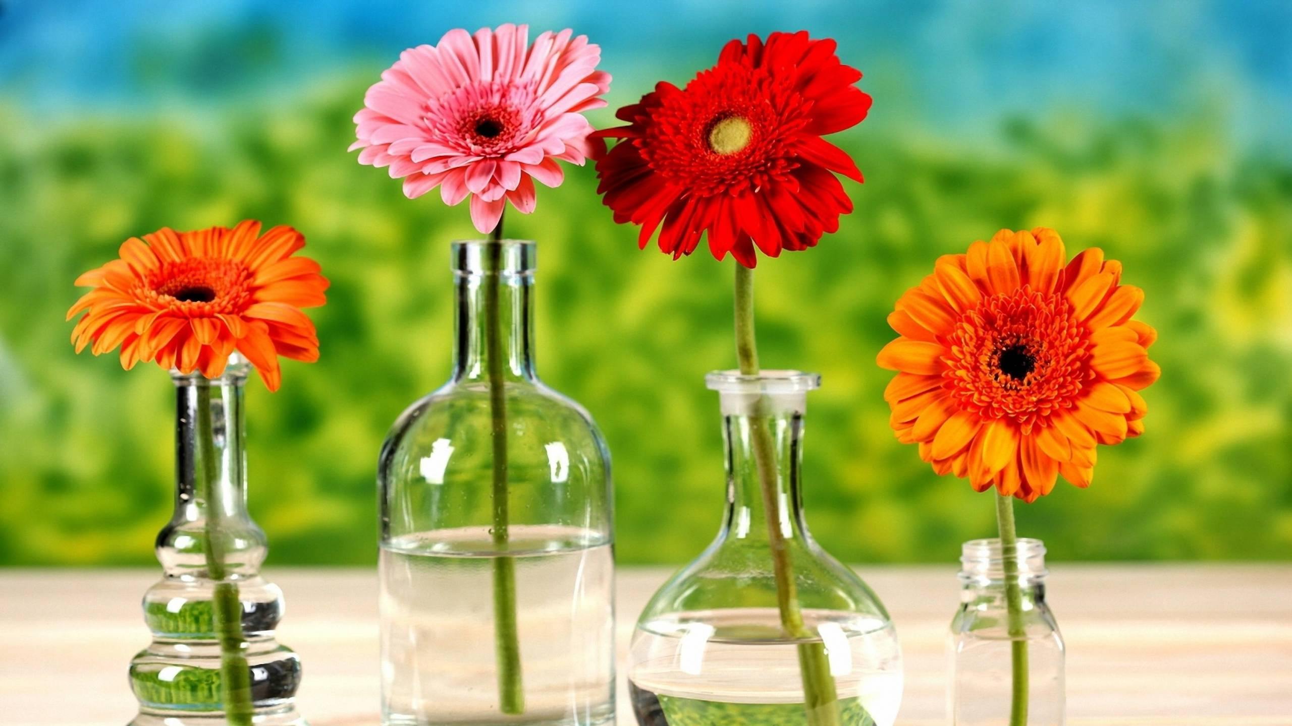 Tử vi Chủ nhật 15/3: Thiên Bình quý nhân giải nguy, Song Ngư đề phòng cám dỗ