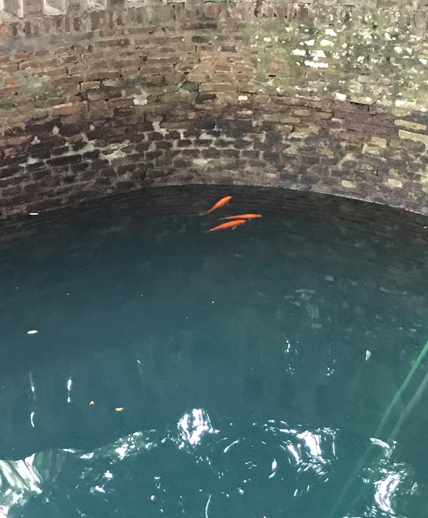 Giếng Ngọc. Ảnh Minh Hy