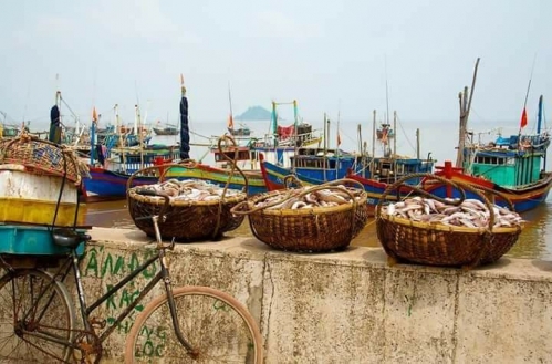 Huyện Hậu Lộc, tỉnh Thanh Hóa: Phát huy nội lực, từng bước đẩy mạnh phát triển kinh tế, xã hội