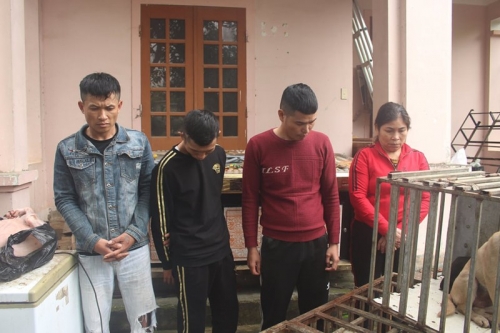 Công an Nghệ An: Bắt nhóm cẩu tặc chuyên đánh bả chó, mèo