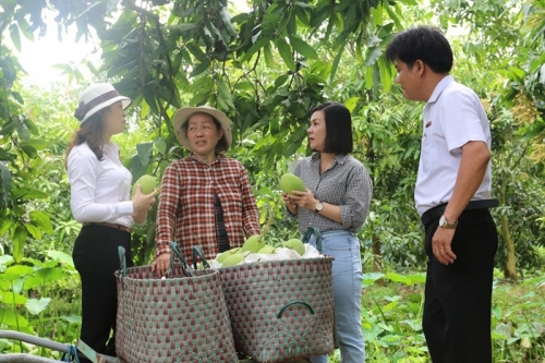 Nguồn vốn của Agribank giúp nông dân đổi đời