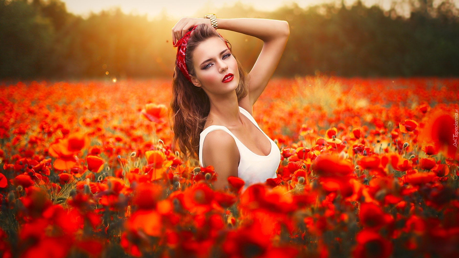 Tử vi thứ S&aacute;u ng&agrave;y 27/3/2020 của 12 con gi&aacute;p