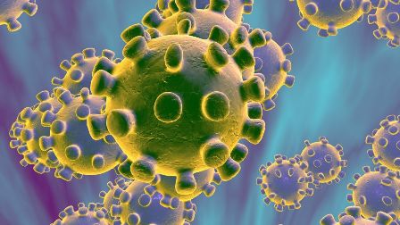 Nhà virus học Nga chỉ ra cơ chế xâm nhập 'đặc biệt' của Coronavirus