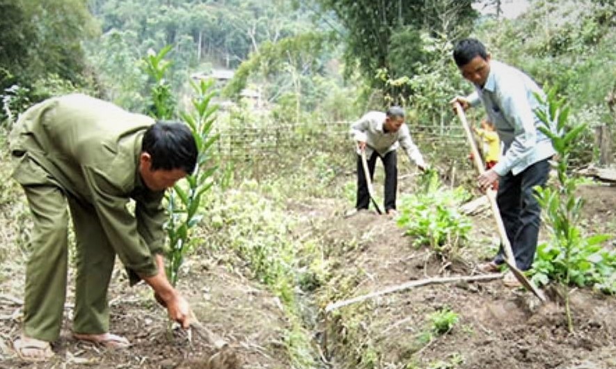 NCT x&atilde; Mường V&agrave; t&iacute;ch cực trồng c&acirc;y trồng rừng. Ảnh IT