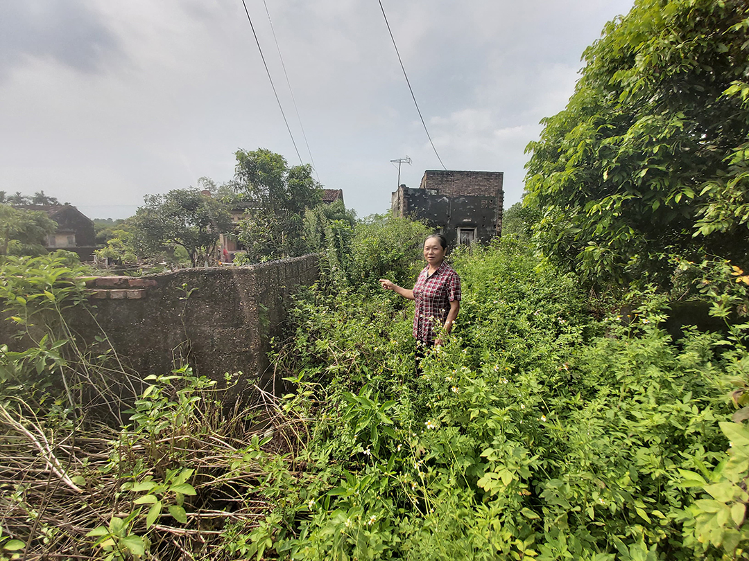 B&agrave; Trần Thị Anh chỉ cho ph&oacute;ng vi&ecirc;n biết phần đất của gia đ&igrave;nh b&agrave; bị ch&iacute;nh quyền TP Ch&iacute; Linh cấp cho