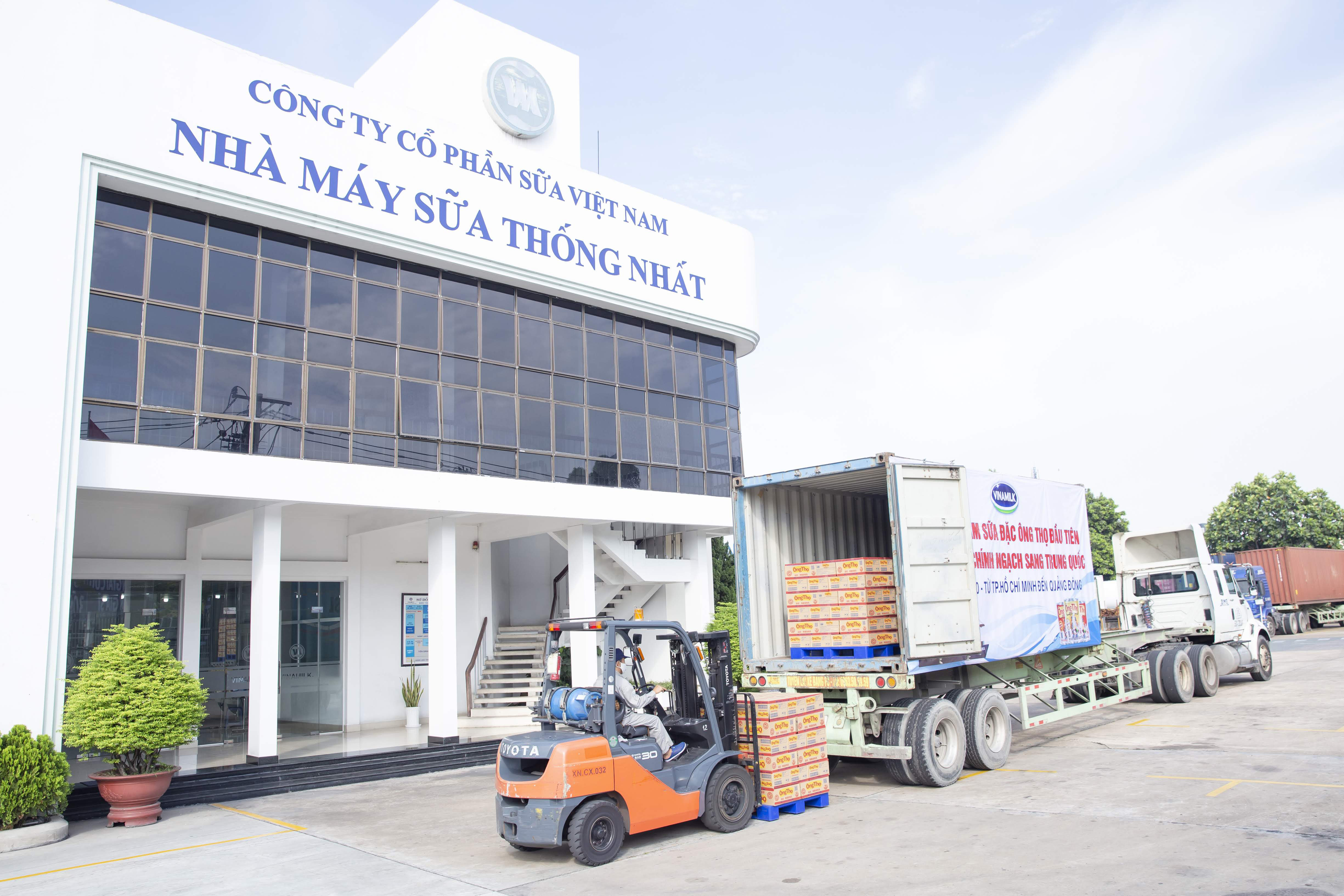 L&ocirc; sản phẩm sữa đặc &Ocirc;ng Thọ được đưa v&agrave;o container chuẩn bị xuất đi Trung Quốc từ Nh&agrave; m&aacute;y sữa Thống Nhất của Vinamilk