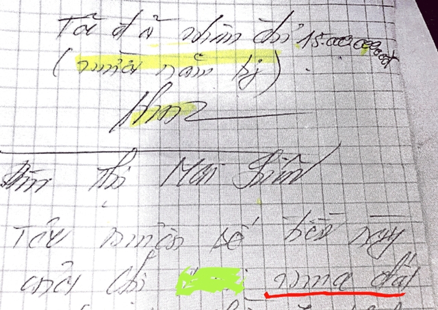 B&uacute;t t&iacute;ch b&agrave; Li&ecirc;n k&iacute; nhận vay 15 tỉ đồng của b&agrave; N để mua đất