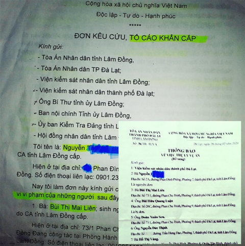 Đơn k&ecirc;u của b&agrave; N v&agrave; văn bản thụ l&iacute; của TAND TP Đ&agrave; Lạt