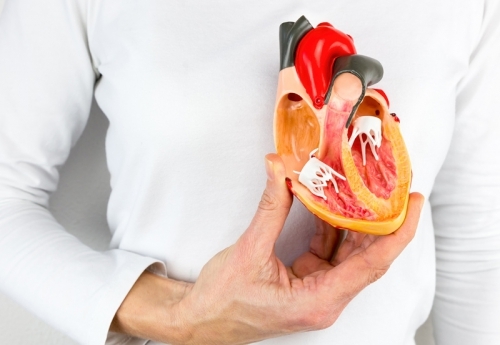 Bệnh phình động mạch chủ ở người cao tuổi