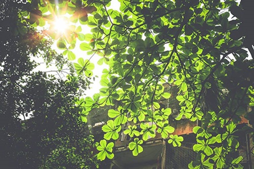 Dự b&aacute;o thời tiết ng&agrave;y mai 28/4: Ba miền đều c&oacute; nắng, Nam Bộ c&oacute; nơi nắng n&oacute;ng