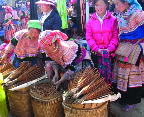 Lạc giữa miền cao nguyên trắng