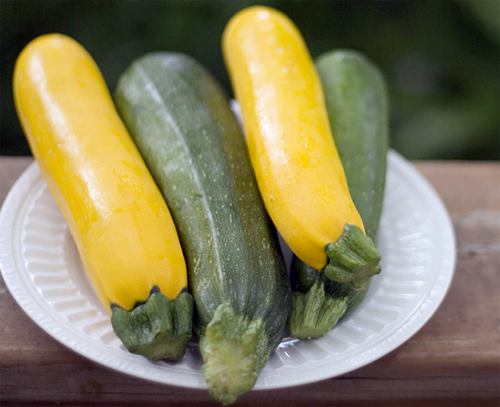 10 siêu thực phẩm giải nhiệt ngày hè, tốt cho hệ miễn dịch