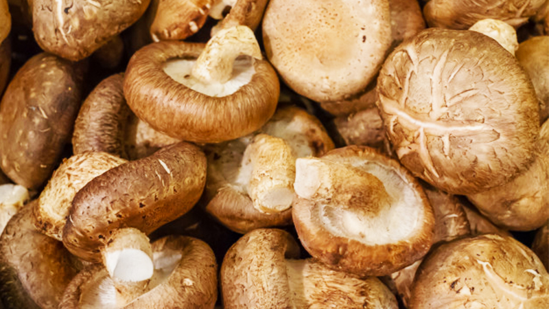 10 siêu thực phẩm giải nhiệt ngày hè, tốt cho hệ miễn dịch