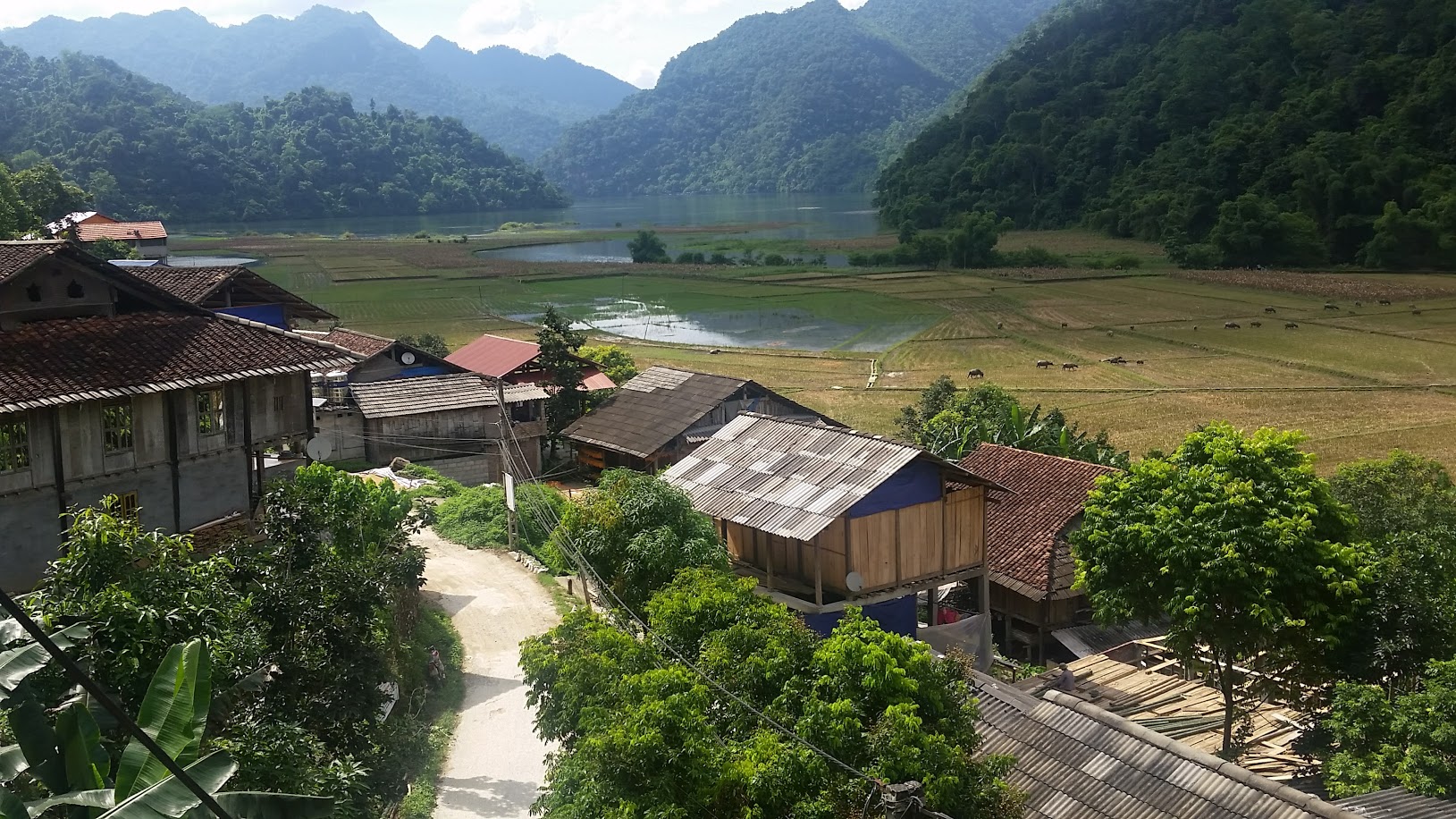 Về đi anh cho ngọt lịm môi hôn…