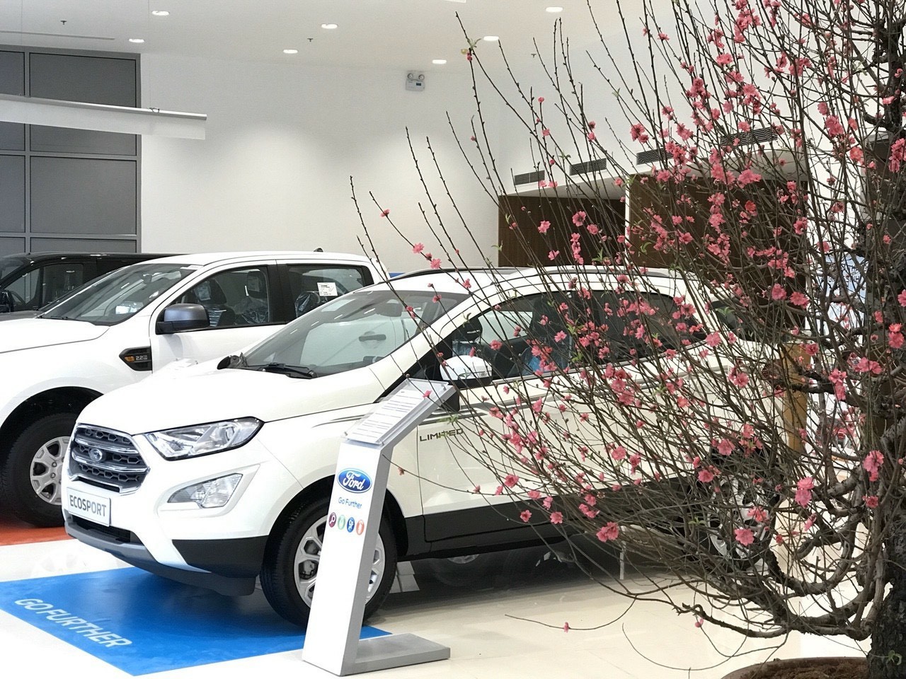 Ford Ecosport giảm giá 80 triệu đồng