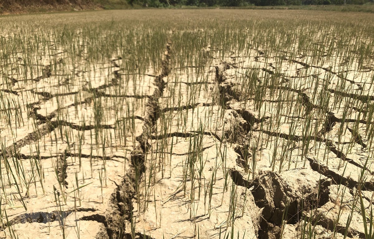 Nước cho Đồng bằng sông Cửu Long