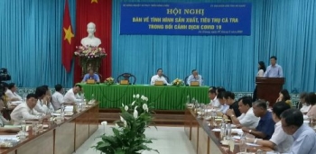 Bộ trưởng Nguyễn Xuân Cường chủ trì Hội nghị về sản xuất, tiêu thụ cá tra