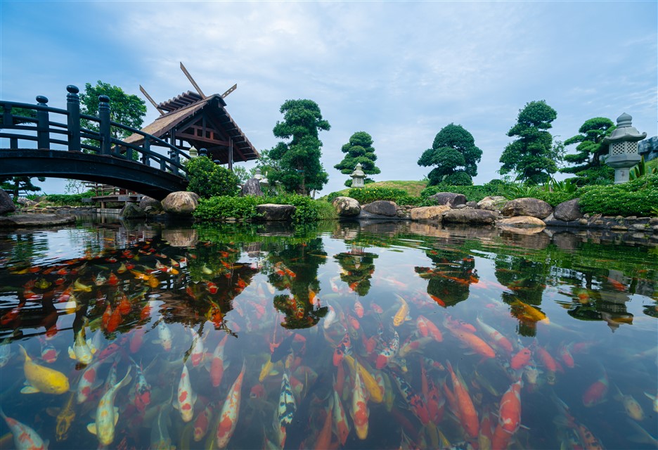 Mách bạn những trải nghiệm hè cực “chill” tại Typhoon Water Park, chỉ với 200 ngàn đồng