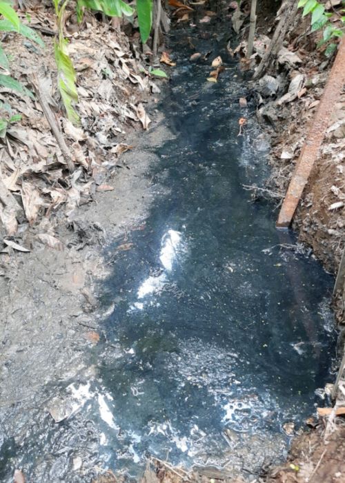 Huyện An Biên, tỉnh Kiên Giang: Trung tâm thương mại nhiều… rác