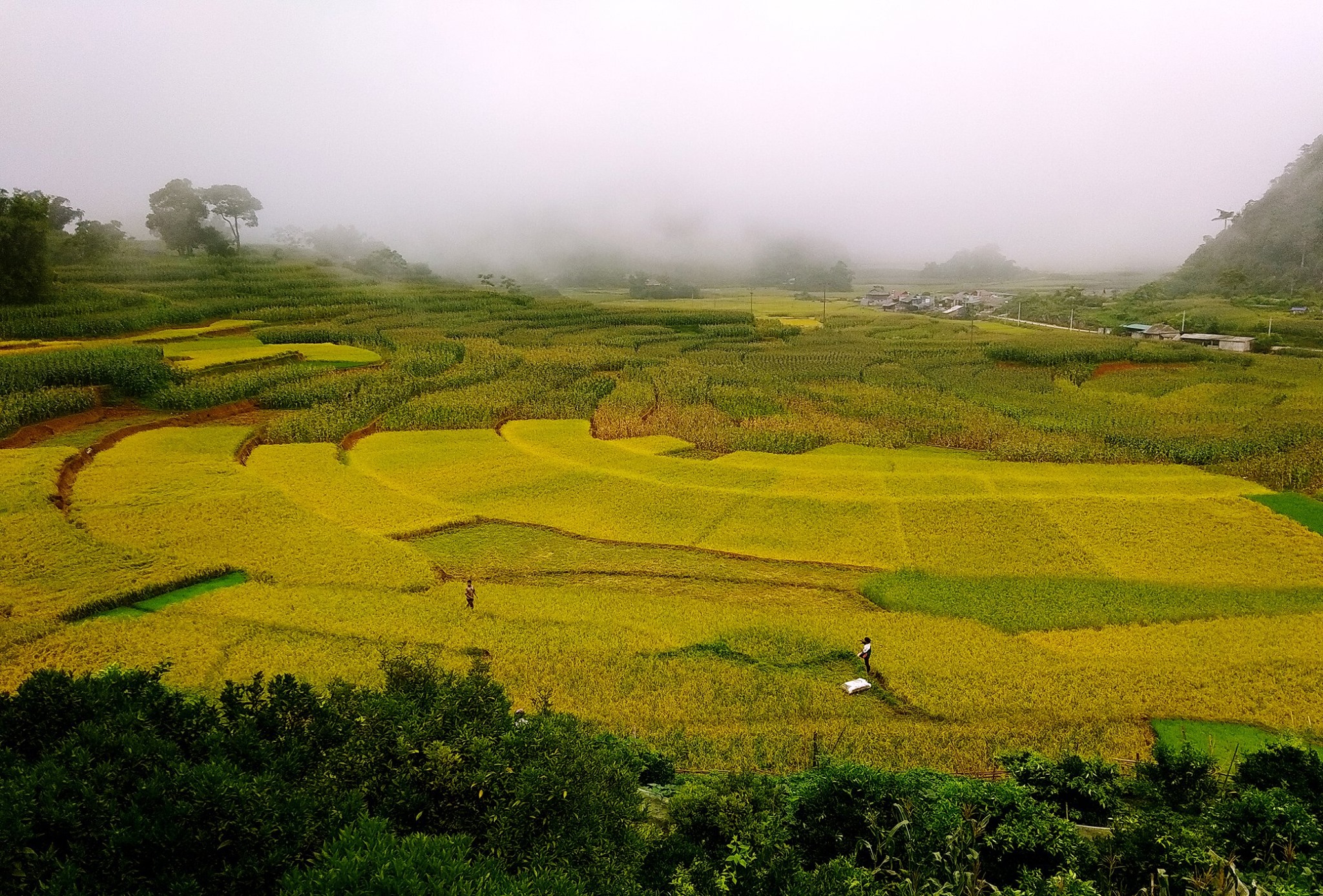 Bí quyết sống trường thọ ở 