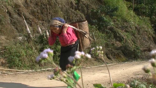 Bí quyết sống trường thọ ở "thung lũng tiên"