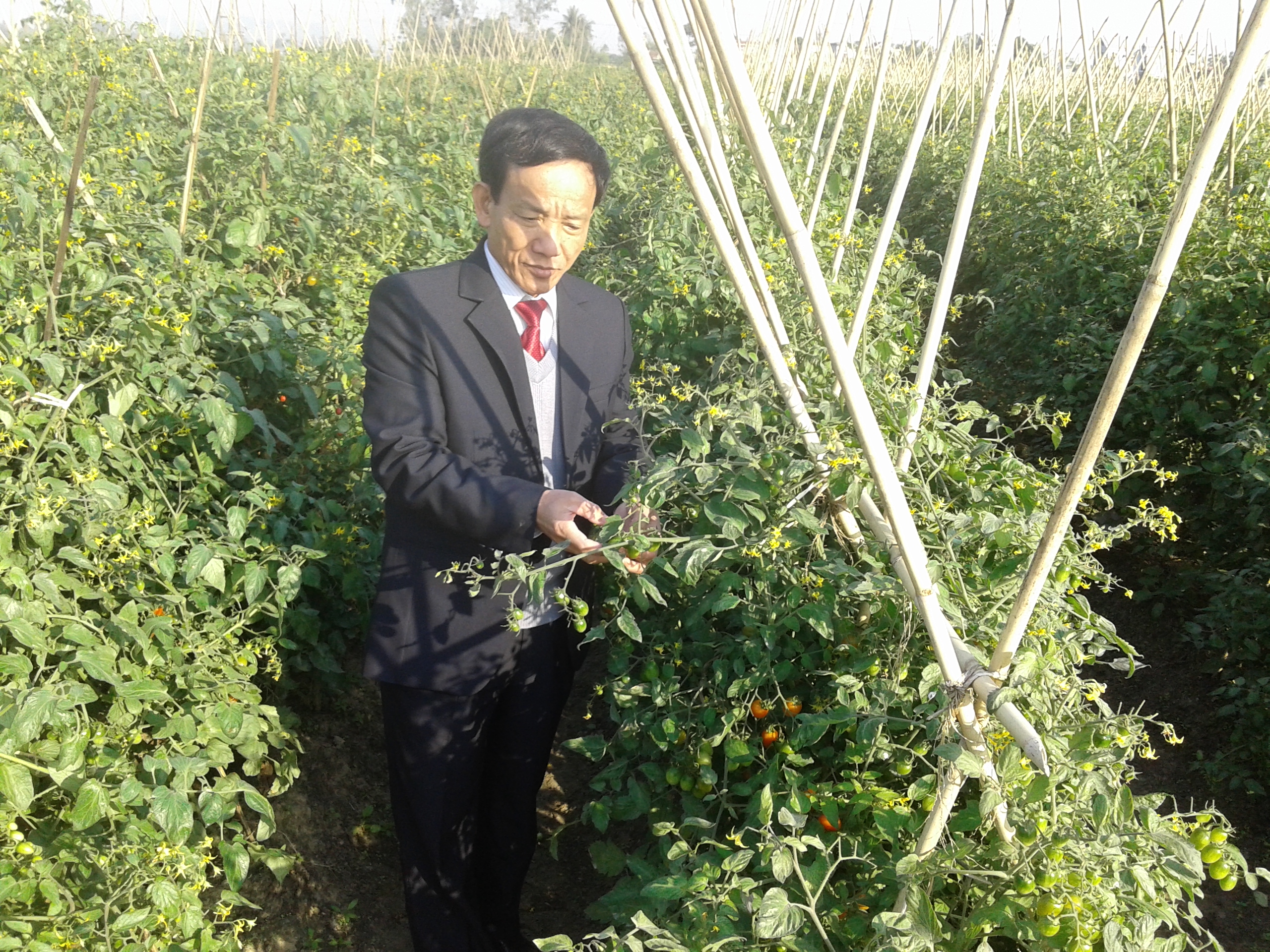 Huyện Hậu Lộc, tỉnh Thanh Hóa: Đẩy mạnh phát triển kinh tế tạo nguồn lực để xây dựng nông thôn mới