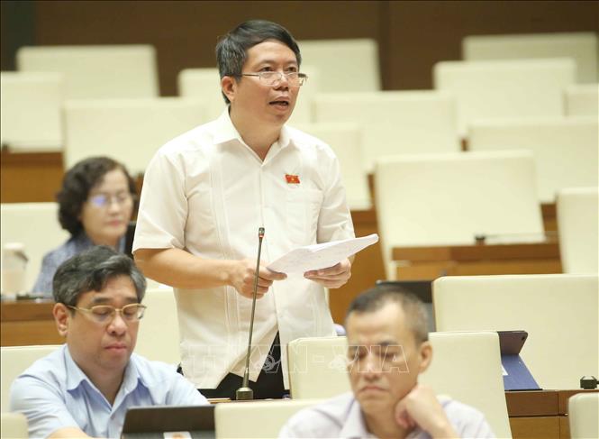 Đại biểu Quốc hội tỉnh L&acirc;m Đồng Nguyễn Văn Hiển ph&aacute;t biểu &yacute; kiến. Ảnh: Do&atilde;n Tấn/TTXVN