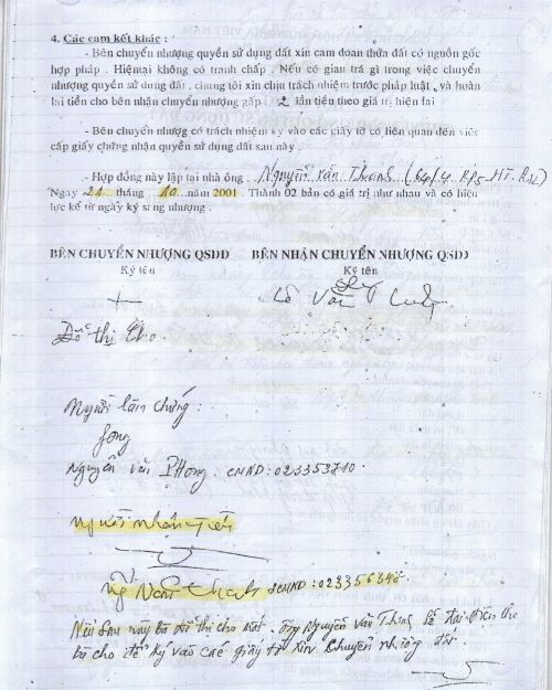 Tranh chấp đất có “Sổ đỏ” ở phường Hiệp Thành, quận 12, TP Hồ Chí Minh: Cần một quyết định của tòa án giải quyết theo thẩm quyền