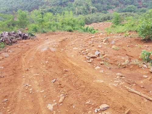 Tỉnh Bình Phước: Có hay không việc Chi cục THADS huyện Bù Đăng “o ép” để bán giá rẻ tài sản?