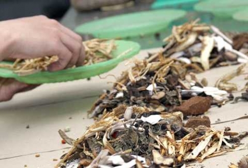 Có nên dùng thuốc theo sự mách bảo?