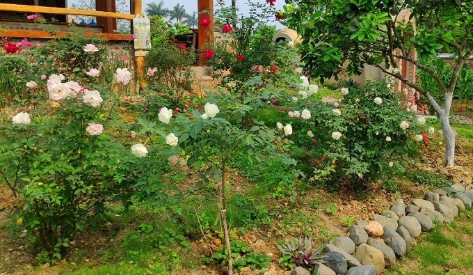 Vợ con rách rưới ở nhà, chồng tôi rút tiết kiệm mua đồ hiệu cho bồ