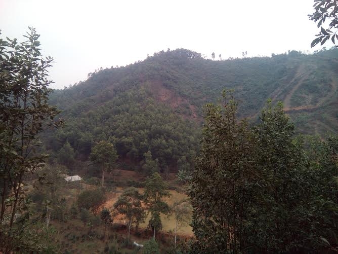 Khu đất của gia đ&igrave;nh b&agrave; Đinh Thị Vịnh bị lấn chiếm, dẫn đến khởi kiện