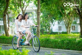 Ngắm "thiên đường xanh" Vĩnh Phúc mát dịu những ngày hè