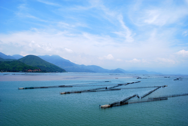 Một thoáng Vinh Hiền