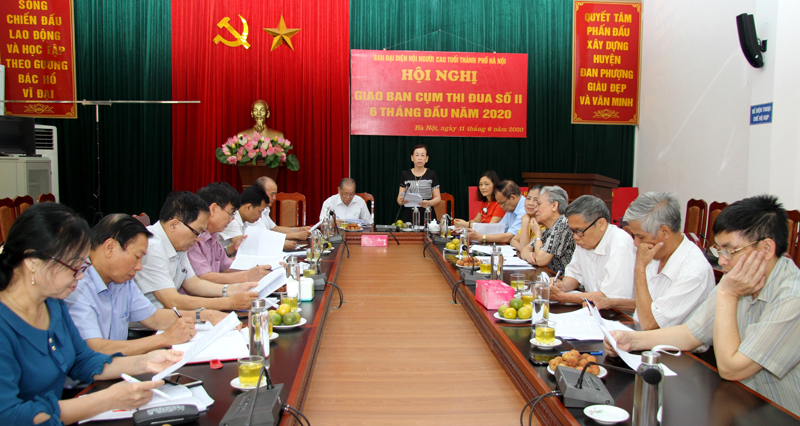 B&agrave; L&ecirc; Thị Như Hoa đồng chủ tr&igrave; Hội nghị