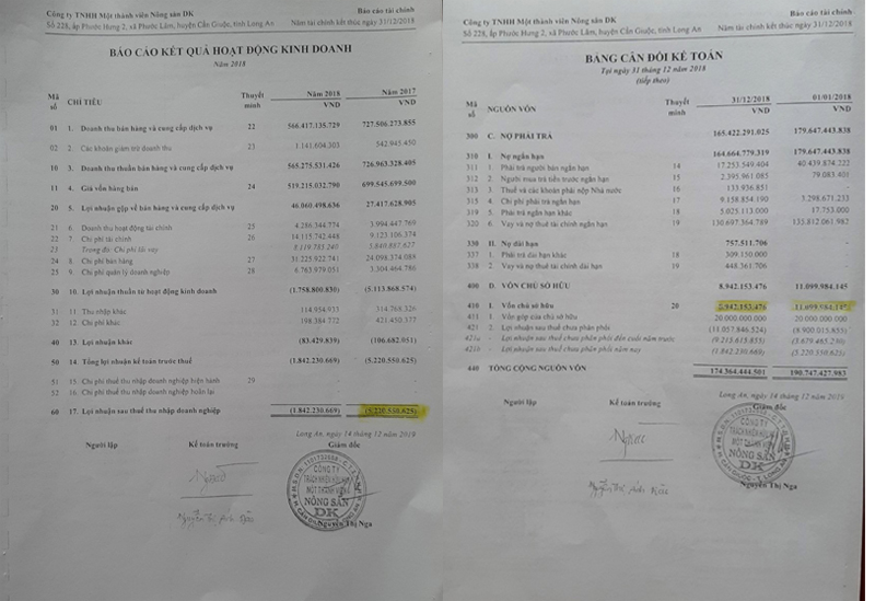 B&aacute;o c&aacute;o t&agrave;i ch&iacute;nh v&agrave; B&aacute;o c&aacute;o nộp Cục Thuế tỉnh Long An của C&ocirc;ng ty N&ocirc;ng sản DK