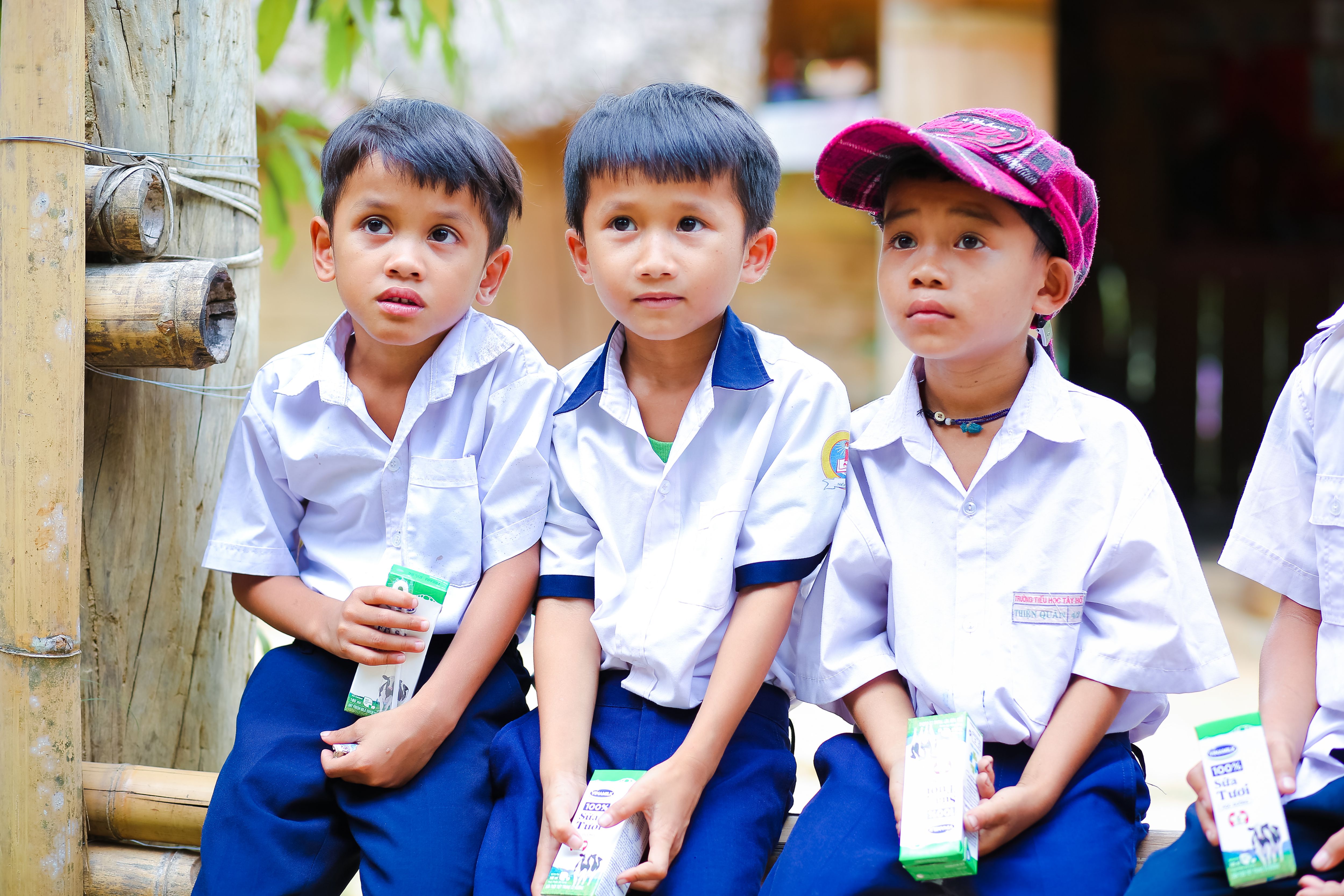 Chương tr&igrave;nh Sữa học đường đặc biệt c&oacute; &yacute; nghĩa đối với c&aacute;c khu vực miền n&uacute;i, v&ugrave;ng s&acirc;u, v&ugrave;ng xa nơi điều kiện kinh tế c&ograve;n kh&oacute; khăn. Việc cho con uống sữa đều đặn h&agrave;ng ng&agrave;y đ&ocirc;i khi l&agrave; &ldquo;qu&aacute; sức&rdquo; với nhiều bậc phụ huynh. V&igrave; vậy, Sữa học đường ngo&agrave;i gi&uacute;p c&aacute;c em được chăm s&oacute;c dinh dưỡng tốt hơn c&ograve;n mang theo cả niềm vui uống sữa vốn rất giản đơn của trẻ thơ.