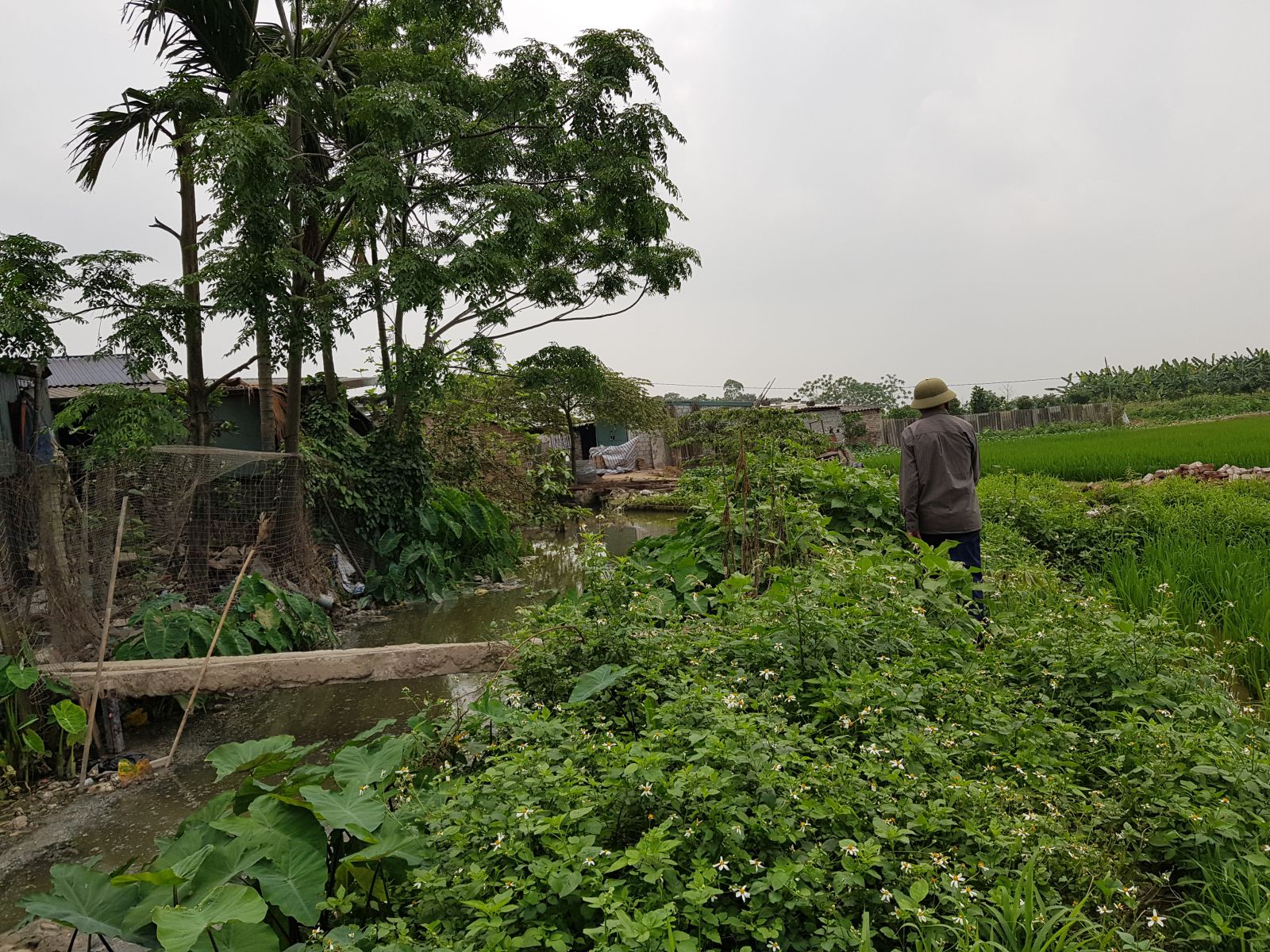 Người d&acirc;n tố nhiều diện t&iacute;ch đất tại x&atilde; Văn Ph&uacute; bị giao b&aacute;n tr&aacute;i thẩm quyền g&acirc;y thất tho&aacute;t ng&acirc;n s&aacute;ch Nh&agrave; nước h&agrave;ng tỷ đồng